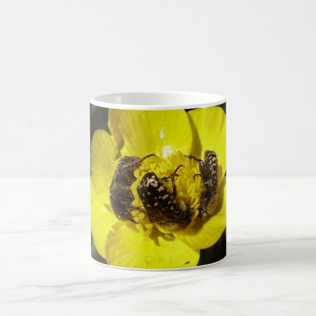 Taza De Café Oxythyrea Funesta Beetles Mug (Centro)