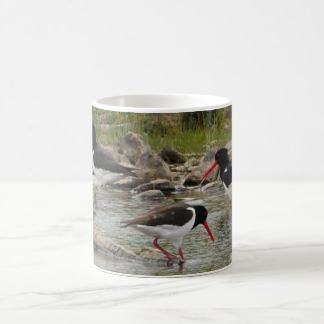 Taza De Café Oystercatchers Mug (Centro)