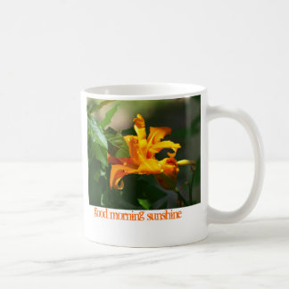 Taza De Café P6193311, sol de la buena mañana