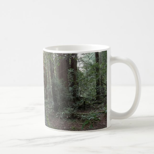 Taza De Café Paisaje forestal de Muir Woods Stream (Derecha)
