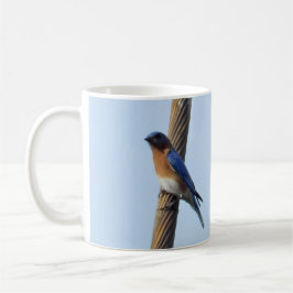 Taza De Café Pajarito azul en una peluca