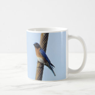 Taza De Café Pajarito azul en una peluca