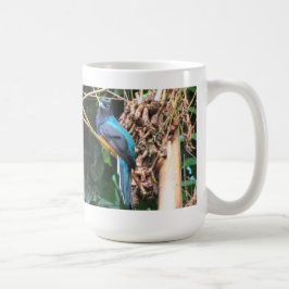Taza De Café Pájaro Azul de Cola Larga