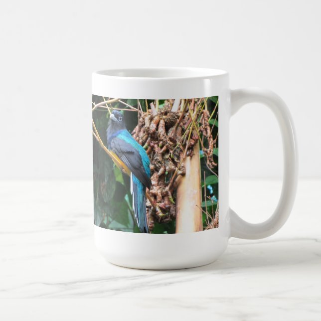 Taza De Café Pájaro Azul de Cola Larga (Derecha)
