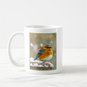 Taza De Café Pájaro azul oriental en nieve - Fotografía origina