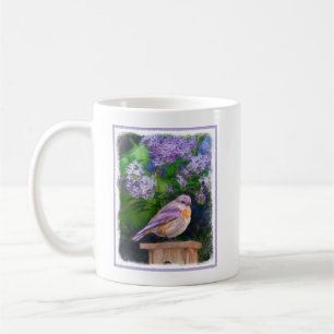Taza De Café Pájaro azul oriental en nieve - Fotografía origina