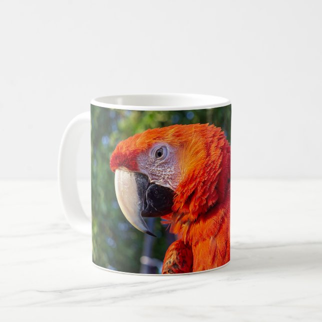 Taza De Café pájaro de maca (Anverso izquierdo)