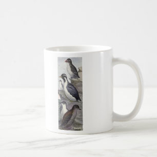 Taza De Café Pájaro de Murrelet