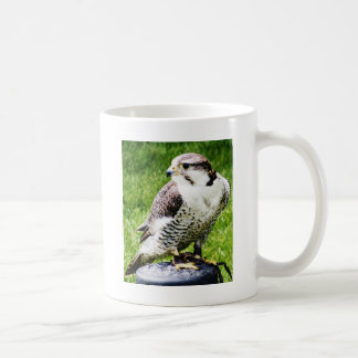 Taza De Café Pájaro del halcón de peregrino de la presa #2-