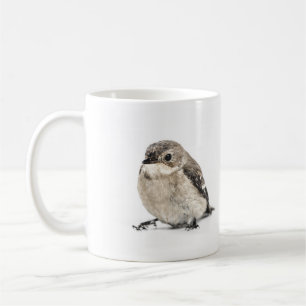 Taza De Café Pájaro del jardín