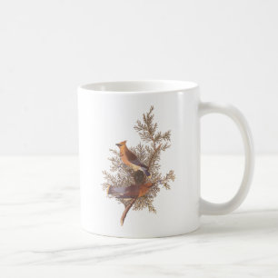 Taza De Café Pájaro del Waxwing de cedro de Audubon