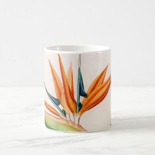 Taza De Café Pájaro florido de cosecha paradisíaca
