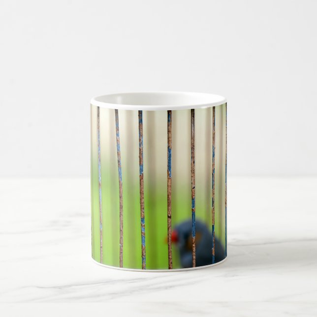 Taza De Café Pájaro, jaula (Centro)