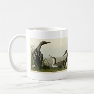 Taza De Café Pájaros audubónicos de los Estados Unidos