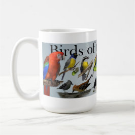 Taza De Café Pájaros del lavabo del Amazonas