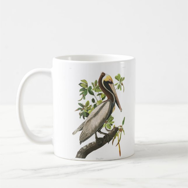 Taza De Café Pájaros marrones pelícanos John Audubon de América (Izquierda)