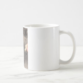 Taza De Café paloma