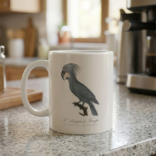 Taza De Café Paloma cabecinegra, Probosciger aterrimus