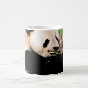 Taza De Café Panda china