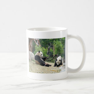 Taza De Café panda gigante,大熊猫