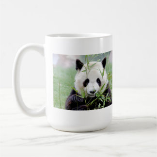 Taza De Café Panda gigante de la foto. Panda geant.