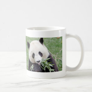 Taza De Café Panda gigante de Mug Photo , animales 0267.
