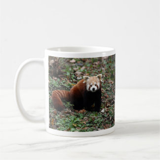 Taza De Café Panda roja