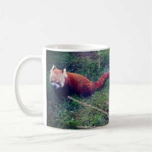 Taza De Café Panda rojo #1 Mug