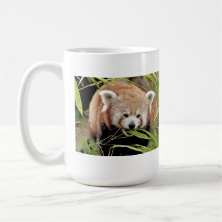 Taza De Café Panda rojo con fotos de tazas. Panda roux. animale