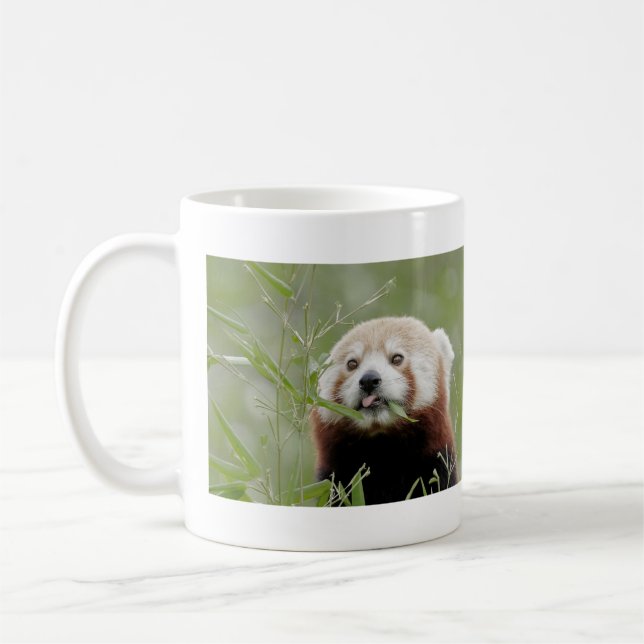 Taza De Café Panda rojo con fotos de tazas. Panda roux. animale (Izquierda)
