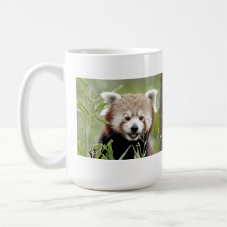 Taza De Café Panda rojo con fotos de tazas. Panda roux. animale