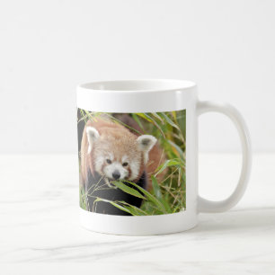 Taza De Café Panda rojo Mug Photo , animales 0397.