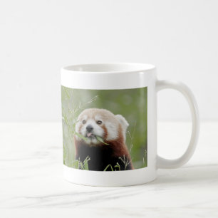Taza De Café Panda rojo Mug Photo , animales 0401.