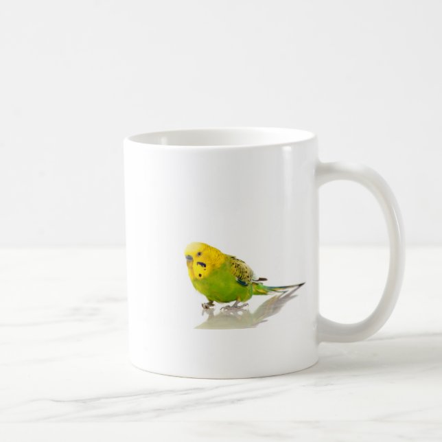 Taza De Café parakeet, (Derecha)