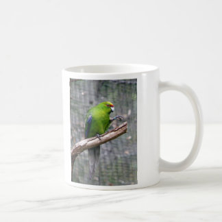 Taza De Café Parakeet Amarillo-coronado