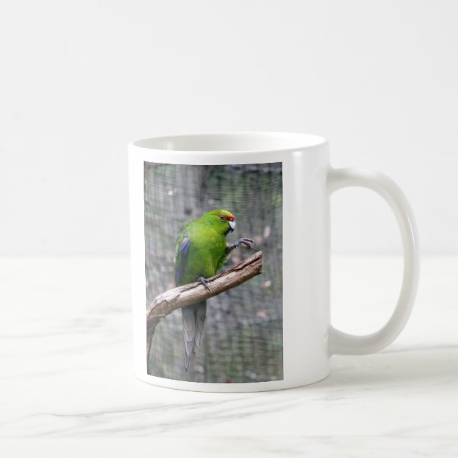 Taza De Café Parakeet Amarillo-coronado (Derecha)