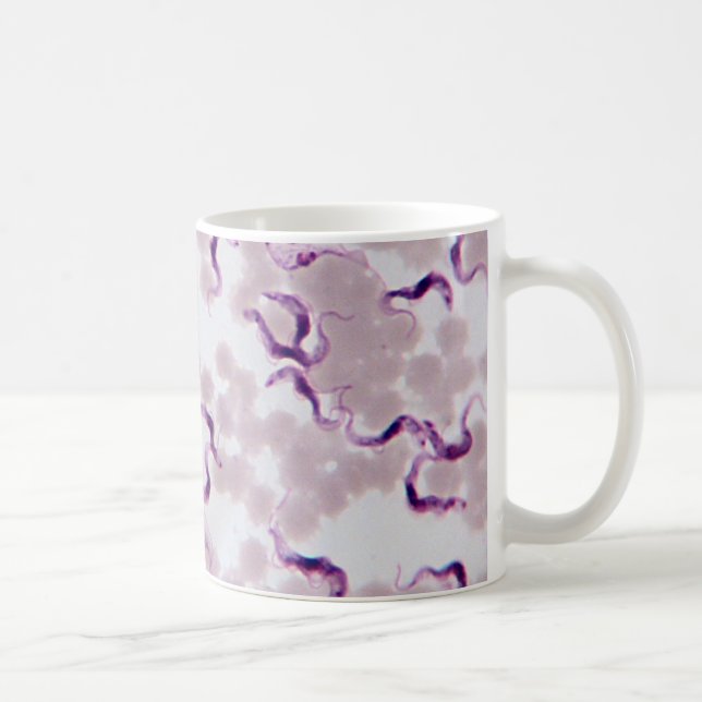 Taza De Café Parásito Trypanosoma de la sangre (Derecha)