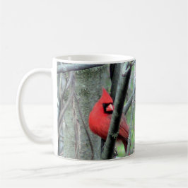 Taza De Café Pareja de cardenales del norte (primavera)