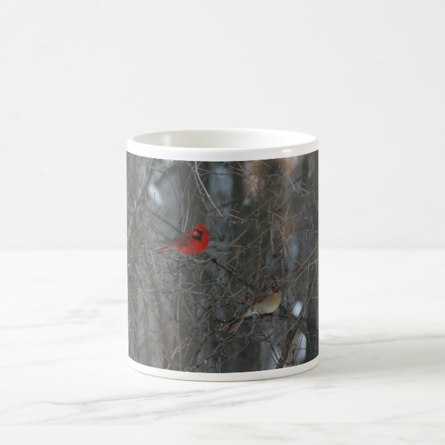 Taza De Café Pares cardinales (Centro)