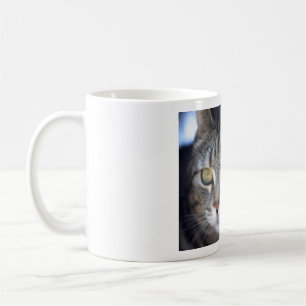 Taza De Café paro de imagen del gato