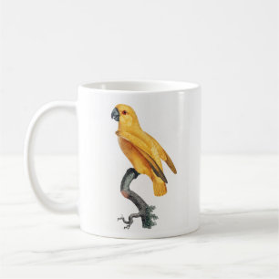 Taza De Café Paro de Senegal
