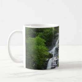 Taza De Café Parque nacional Hen Wallow Falls Smoky Mountain