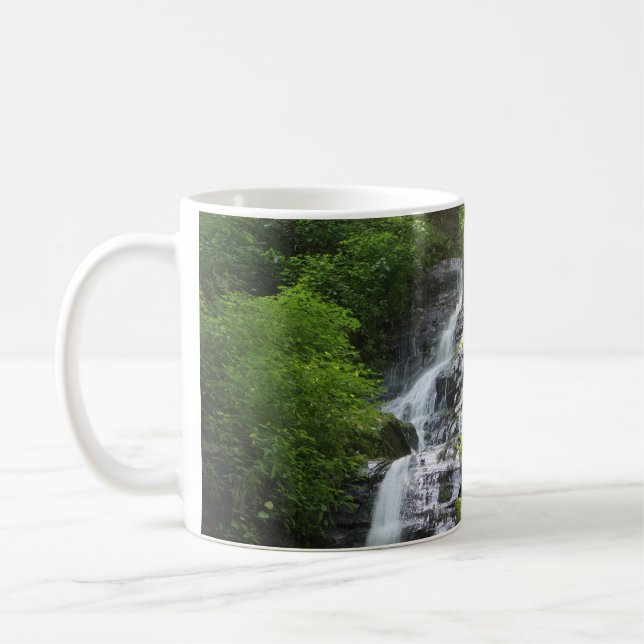 Taza De Café Parque nacional Hen Wallow Falls Smoky Mountain (Izquierda)