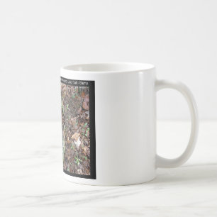 Taza De Café Parque nacional Hot Springs, AR Upper Dogwood Loop