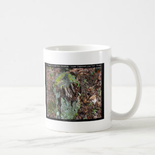 Taza De Café Parque nacional Hot Springs, AR Upper Dogwood Loop