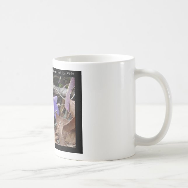 Taza De Café Parque nacional Hot Springs, AR Wild Violets Gifts (Derecha)