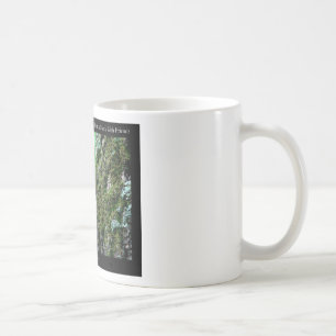 Taza De Café Parque nacional Hot Springs, regalos de aperitivos