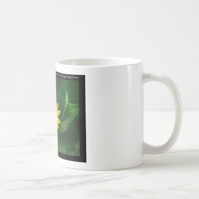 Taza De Café Parque nacional Hot Springs Regalos de girasol de  (Derecha)