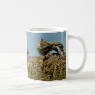 Taza De Café Parque Nacional Joshua Tree Paisaje Desértico