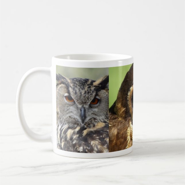 Taza De Café Parque natural de aves animales Lechuza Destino de (Izquierda)
